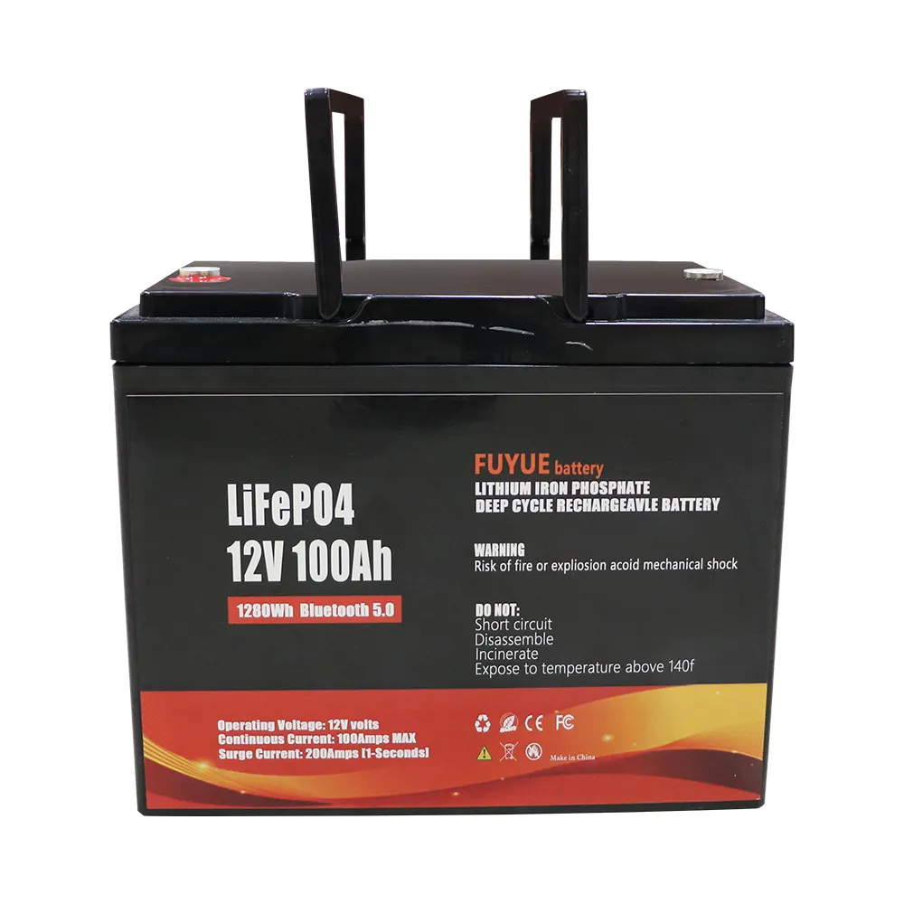 Akumulator LiFePO4 FUYUE 12V 100Ah